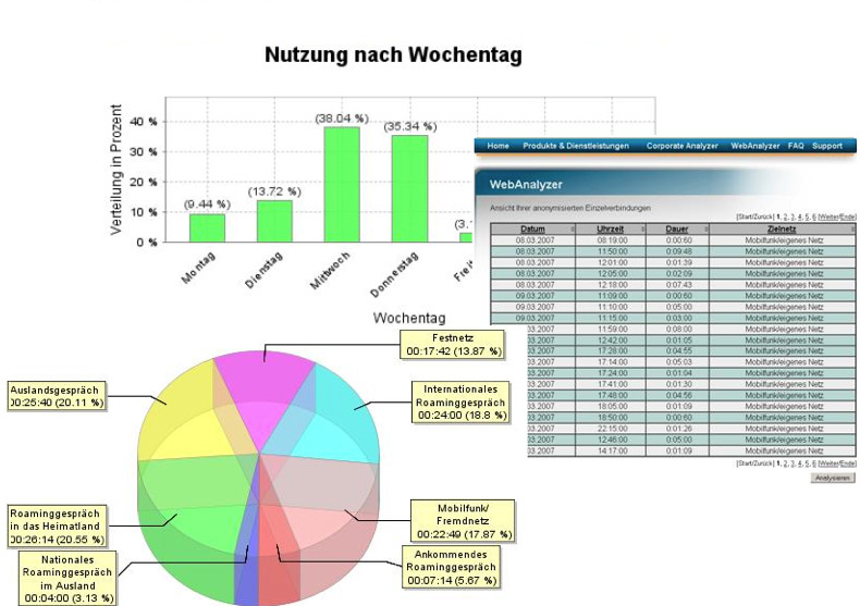 Analyzer Auswertung